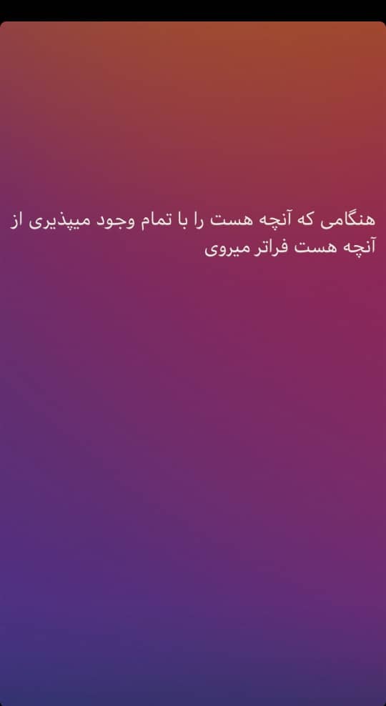 بابک ذکوی