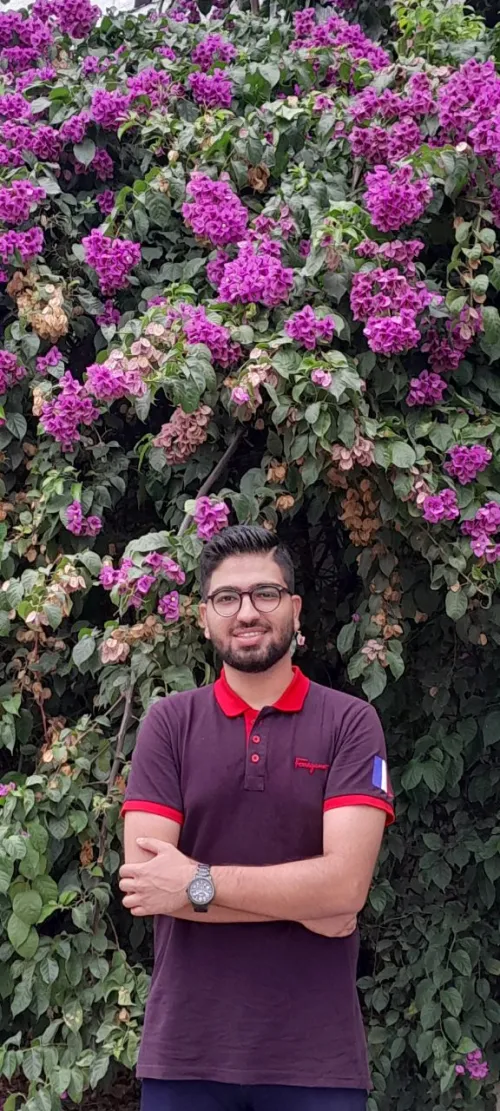 علی مومنی