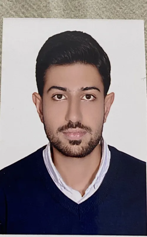 رضا رزاقی
