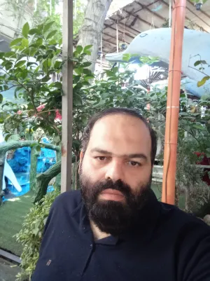 وحید بهزادی
